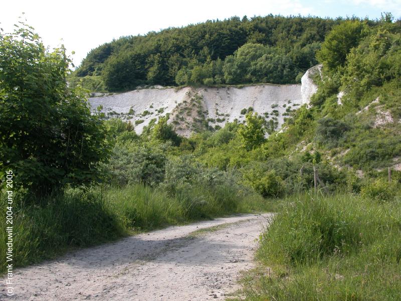 sassnitz-Anschluss-Minol_0005